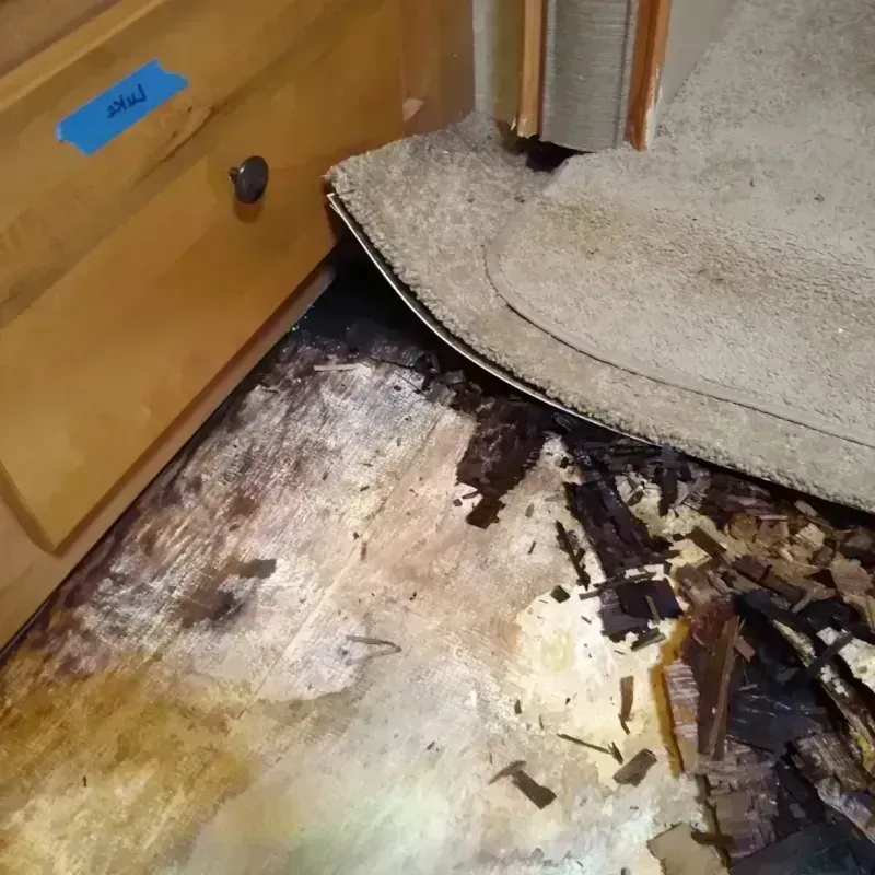 Wood Floor Water Damage in Hickory Hills, IL